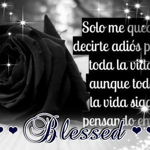 Meet your Posher, Steven jacob